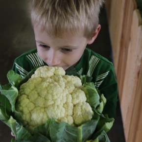 An Eye For&nbsp;Photography